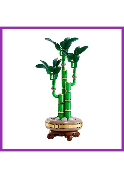 Bezos Botanicals Şans Bambusu 10344 Bty