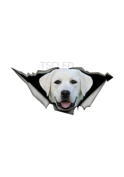 Beyaz Labrador Yırtık Metal Araba Sticker