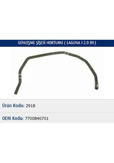 Master M2918 Yedek Su Deposu Hortumu 7700840701