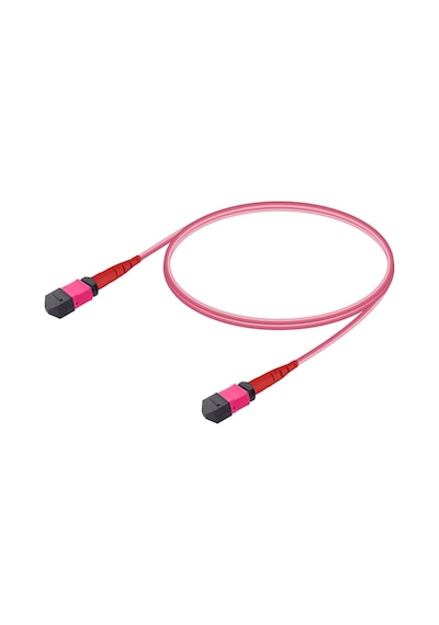 Wınet Fbr-Mm-Om4-Mpo-Mpo-B-10M Mpo Mpo Base-12 Multi-Mod Fiber Pa