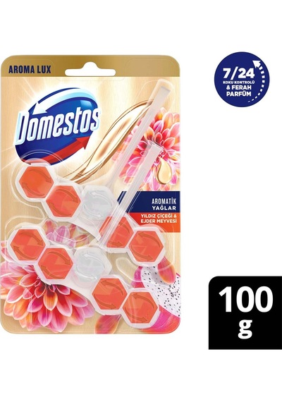 Domestos Tuvalet Bloğu Yıldız Çiçeği & Ejder Meyvesi 4 x 100 G
