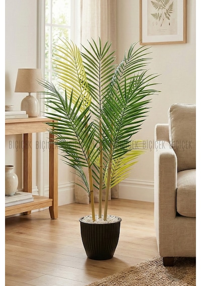 Biçiçek 100 Cm Areka Ağaci 3 Gövdeli̇