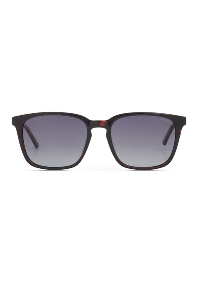 Despada Ds2440 C2 54 Polarize Güneş Gözlüğü Kahverengi