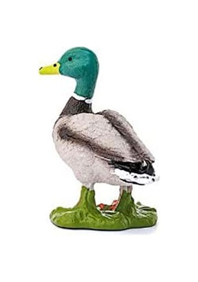 Schleich Erkek Ördek  13824