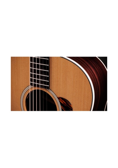 Taylor Gold Label 717e Elektro Akustik Gitar 104051399943