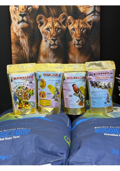 4 Lü Set 250 Gr Lık Mammamiamix Full+full&ballı&meyveli&kurtlu