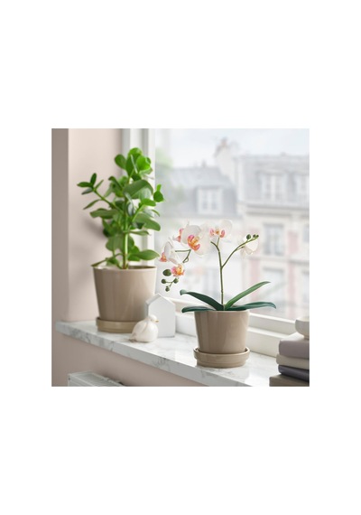Ikea Fejka Serisi, Yapay Bitki, 9 Cm, Beyaz Pembe