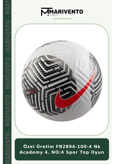 Özel Üretim Fb2894-100-4 Nk Academy 4. No:4 Spor Top Oyun Çok Renkli