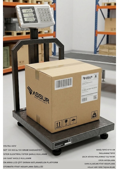 Assur 300 Kg Katlanabilir Dijital Platform Terazi - Yüksek Hassasiyetli Elektronik Kantar-3056