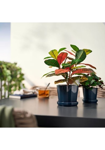 Ikea Fejka Yapay Bitki, Yeşil, 12 Cm, İç/dış Mekan Kroton