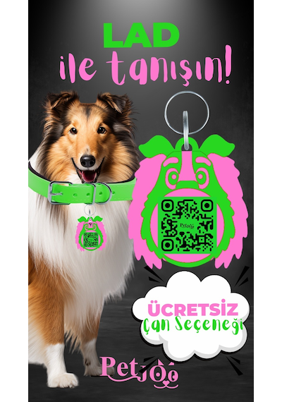 Petjoo 23.Lad Pembe-Yeşil Qr'lı Köpek Künyesi