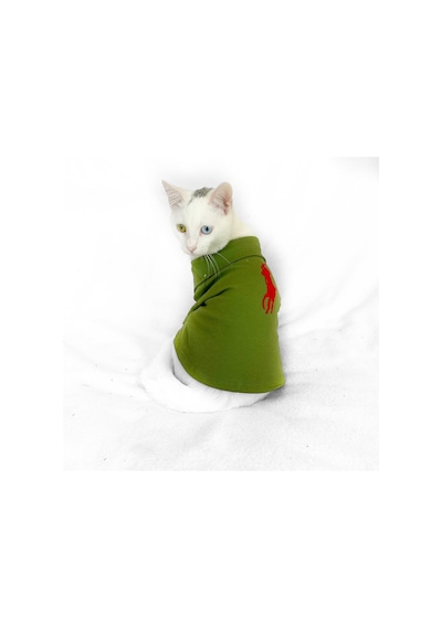 Grass Green Kedi Gömleği Kedi Kıyafeti Kedi Elbisesi
