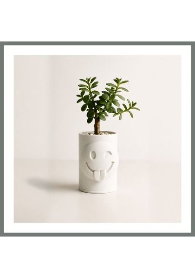 Bezos 3d Baskı Emoji Planter - Göz Kırpan Yüzlü Sukulent Saksısı-beyaz Mmbz Standart