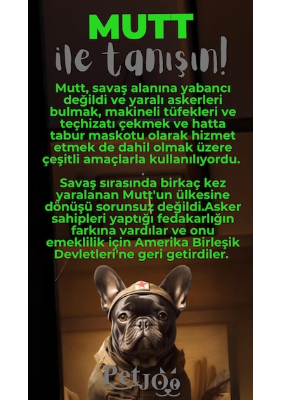 Petjoo 10.Mutt Gri-Yeşil Qr'lı Köpek Künyesi