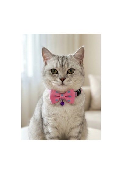 Papyonlu Kedi Boyun Tasması 3 Lü Set Ayarlanabilir Papyon Fiyonk Zilli Pembe