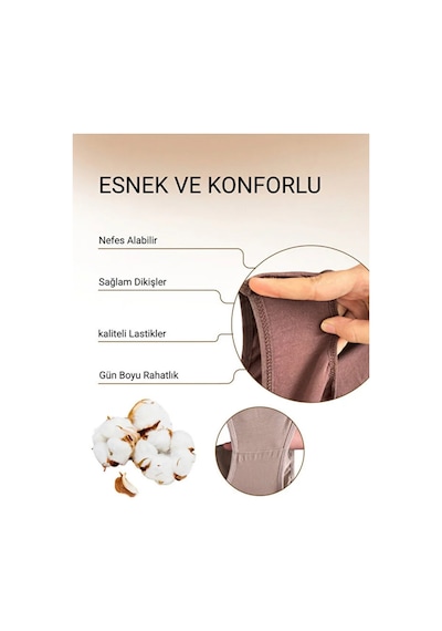 Alya Underwear Kadın Pamuklu Hipster - Slip Külot 5 Farklı Renk 1 Pakette Multicolor-p20