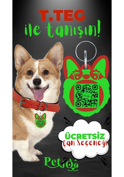 Petjoo 15.T.Teg Yeşil-Kırmızı Qr'lı Köpek Künyesi