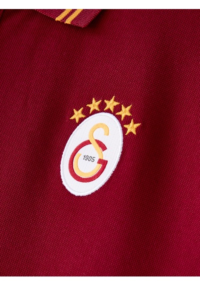 Gsstore Galatasaray Erkek Polo T-shirt E261049 Bordo