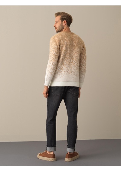 Xint Camel Regular Fit Bisiklet Yaka Kazak 801717