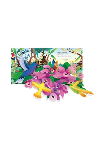 Pop-Up Birds - Laura Cowan - Usborne