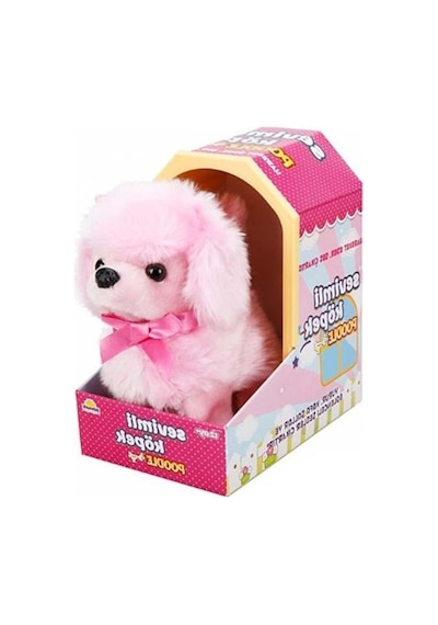 Sunman Sevimli Köpek Poodle