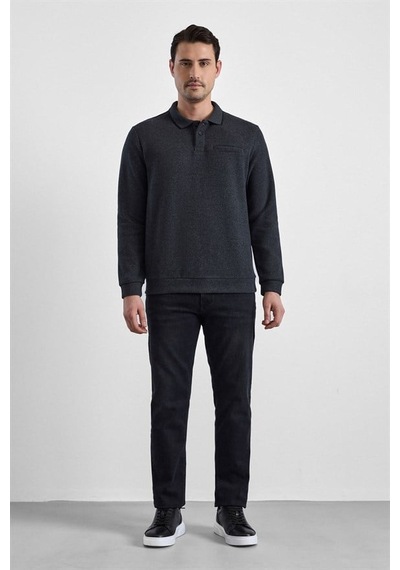 Süvari Antrasit Regular Düz Fermuarlı Polo Yaka Sweatshirt Sw2013700011-s08