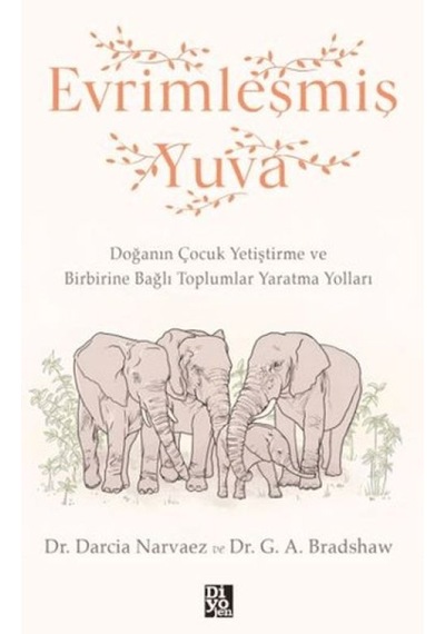 Evrimleşmiş Yuva - Yqbx-715587