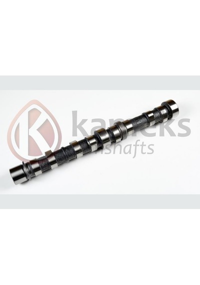 Eksantrik - 230 - Mili Albea-doblo-palıo-astra-corsa 1.3 Mtj - Dpmıx-hb - 1.3cdtı Dokum Eksantrik Mili
