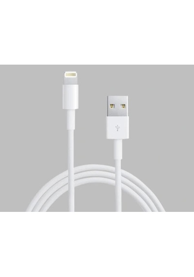 Apple Uyumlu iPhone 8 Ve 8 Plus Data Kablosu Çok Renkli