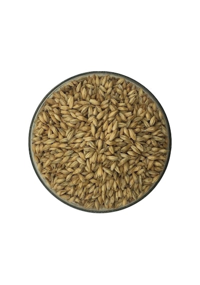 Hitit Malt Asitli Arpa Maltı 250 G