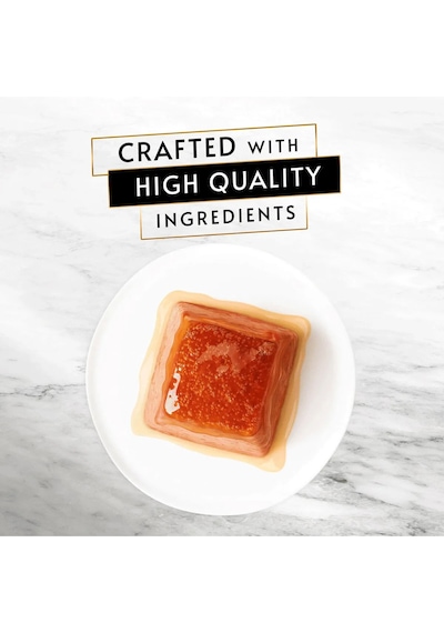 Gourmet Revelations Somon Balıklı Yetişkin Kedi Konservesi 2x57 Gr