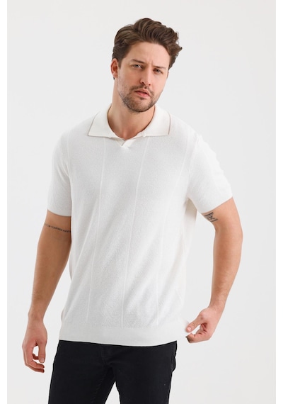 Alexander Gardi Alexandergardı Çizgili Polo Yaka Regular Fit T-shırt E24-eze-32 001