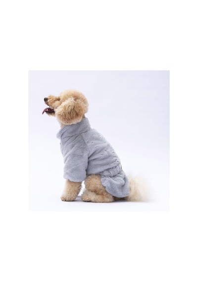 Pawstar Gri Paris Ceket Küçük Ve Orta Irk Ceket
