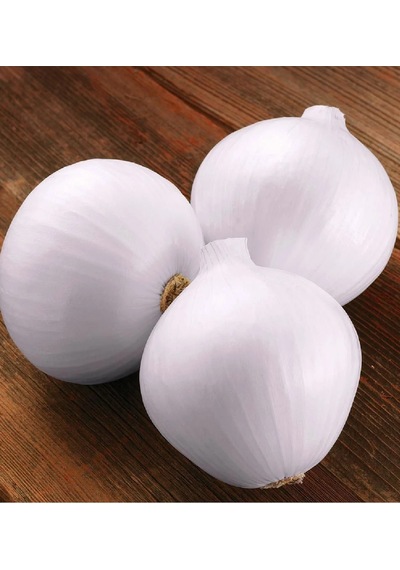 Beyaz Kuru Soğan Tohumu 10 GR