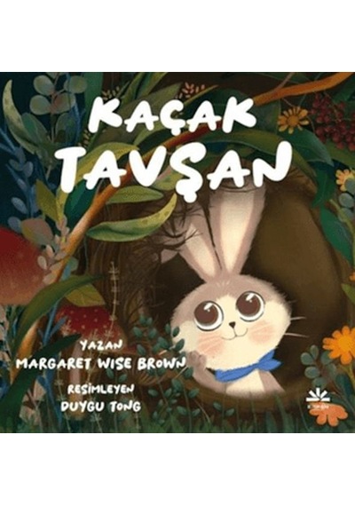 Kaçak Tavşan - Qhdh-880568