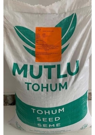 Mutlu Tohum Adi Fiğ Tohumu - Gülhan 25 Kg