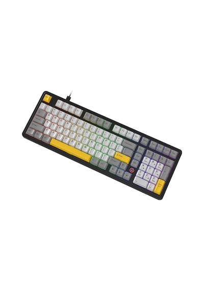 Ak980 Daydream Switch Kablolu Mekanik Oyun Klavyesi- Rgb Aydınlatmalı- Siyah