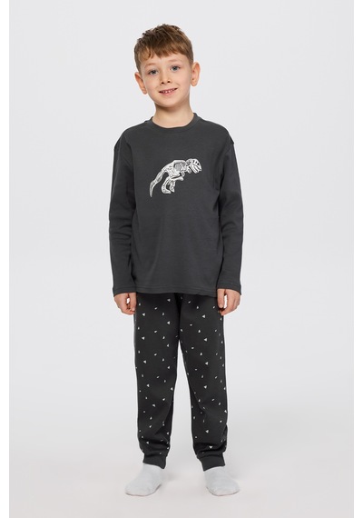 Panço Erkek Çocuk Dinazor Baskılı Pijama Takımı Antrasit