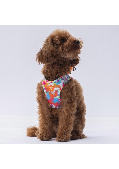 Pawstar Air Mesh Harness Göğüs Tasması A26 Mosaic Large Mavi