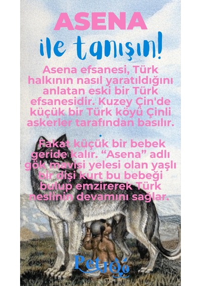 Petjoo 25.Asena Mavi-Pembe Qr'lı Köpek Künyesi