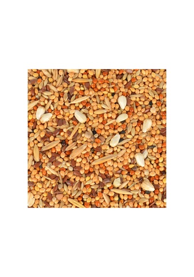 Kızıştırıcı Yem 150 Gr X 2 Adet