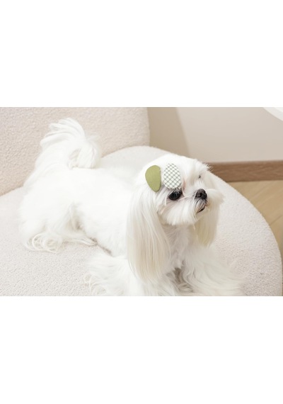 Glam Köpekler İçin Aksesuar Toka Yeşil Çok Renkli