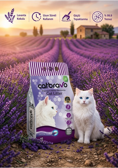 Catbravo Doğal Bentonite- Süper Topaklanan Lavanta Kokulu Kedi Kumu 10 Lt
