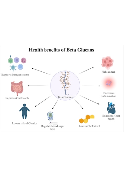 Beta-glucans Beta-1,3/1,6-d-glucan Saccharomyces Cerevisiae With Immunenhancer Arabinogalactan From Larch Tree Larix Occidentalis