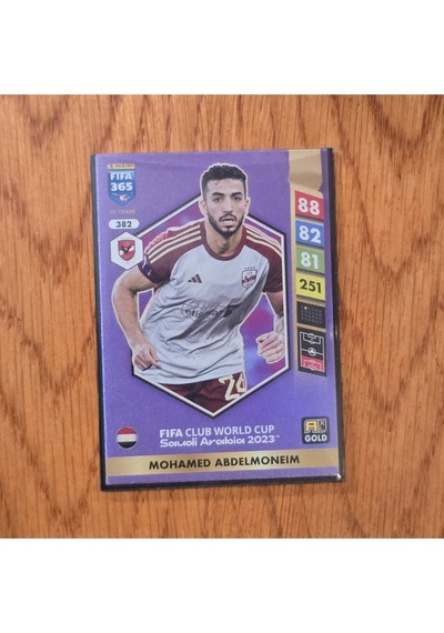 Fifa 365 - Mohamed Abdelmoneim World Cup 382
