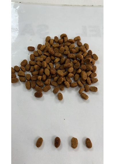 Yavru Kedi Kuru Maması Tavuklu 15 Kg