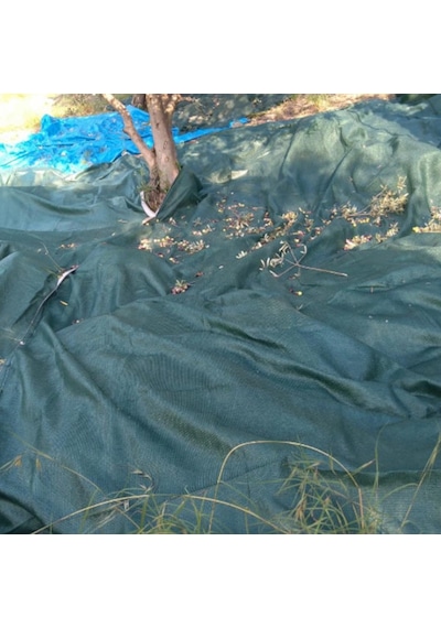 5x5 Metre Zeytin Sergisi Zeytin Toplama Filesi Fındık Fıstık Örtüsü Gölgelik Dut Meyve Sergisi Taban Örtüsü