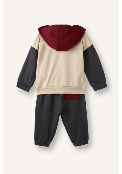 Defacto %100 Pamuk Etiket Baskılı İnce Sweatshirt Kumaşı 2li Takım Erkek Bebek F9452a526wnar202 Antrasit-ar202
