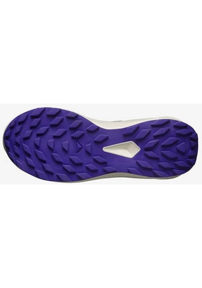 Salomon Kadın Koşu/fıtness Ayakkabı Alphaglıde W L47801800 Siyah