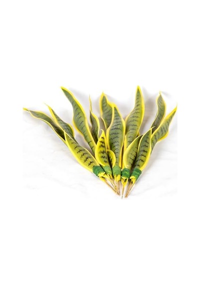 Yapay Bitki Paşa Kılıcı Gerçek Dokulu 15 Yaprak Sarı-yeşil 53 Cm.